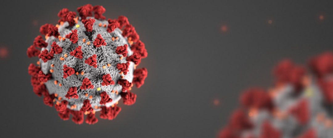 COVID-19 and Vaccination Resources